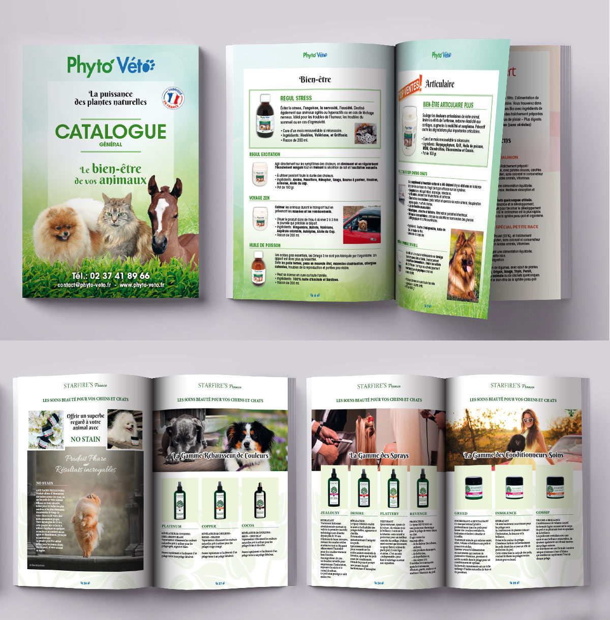 Graphiste indépendant, création et mise en page de catalogues de produits pour animaux
